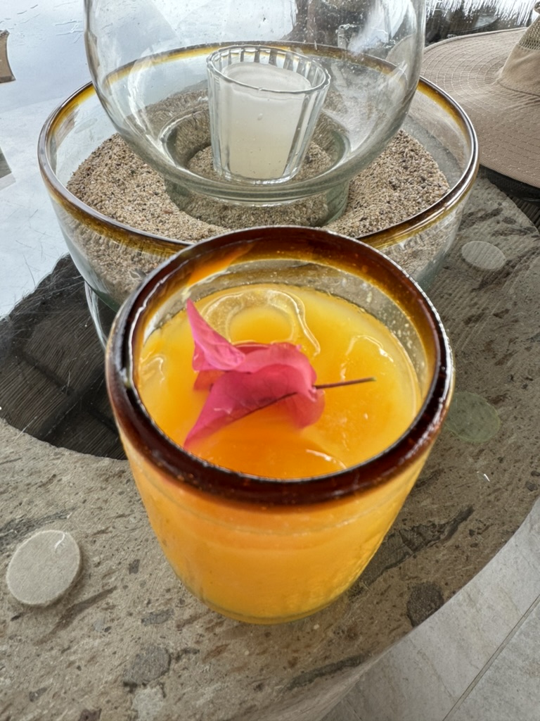 Mango Margarita