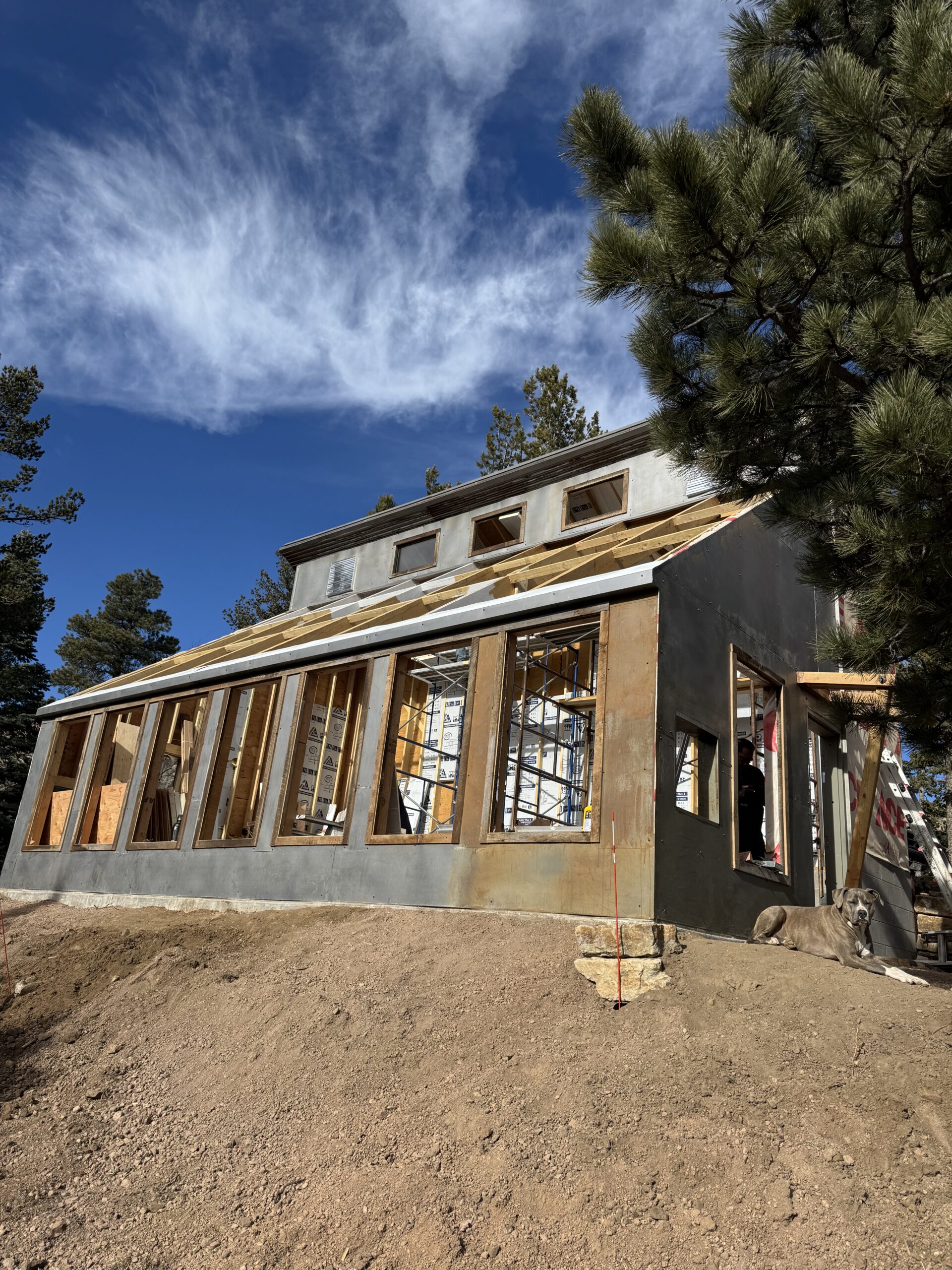 Casa Verde. greenhouse